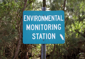 visual and environmental studies