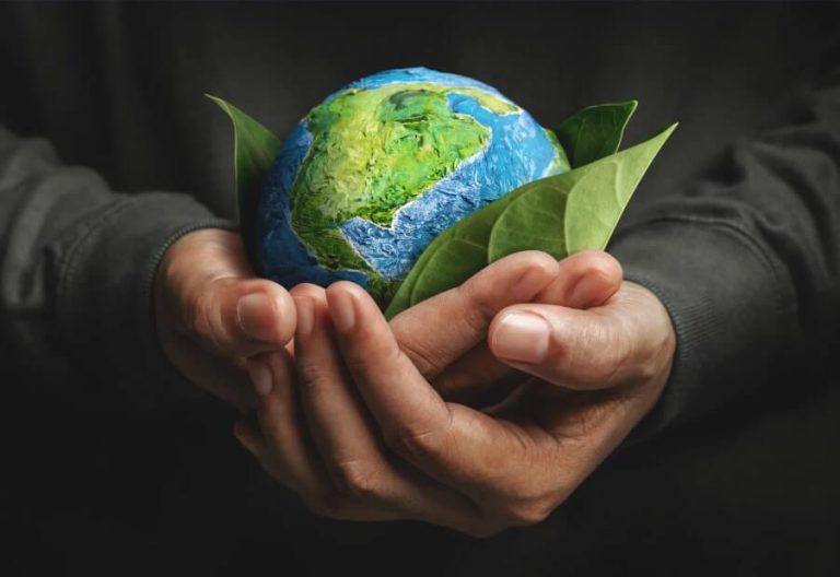 Implementing the Environmental Action Programme: Strategies for Sustainable Development