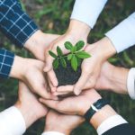 Key Responsibilities of Environmental Management Authority: Learn About EMA