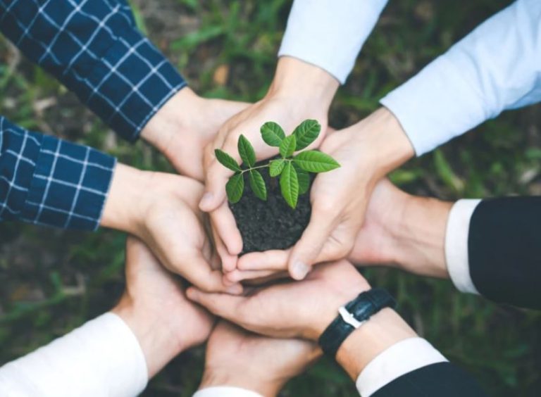 Key Responsibilities of Environmental Management Authority: Learn About EMA