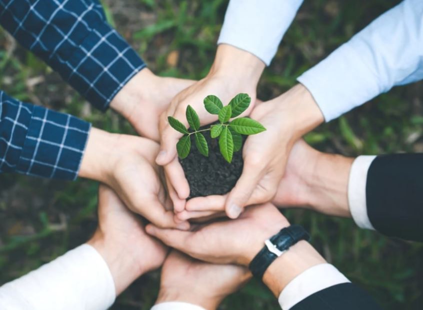 environmental management authority