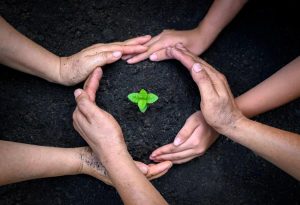 environmental leadership program