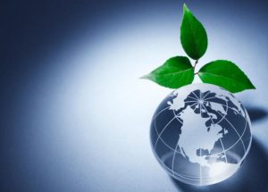 environmental information regulations