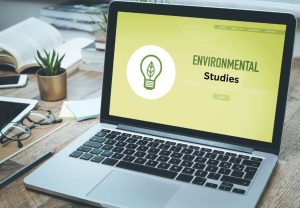 visual and environmental studies